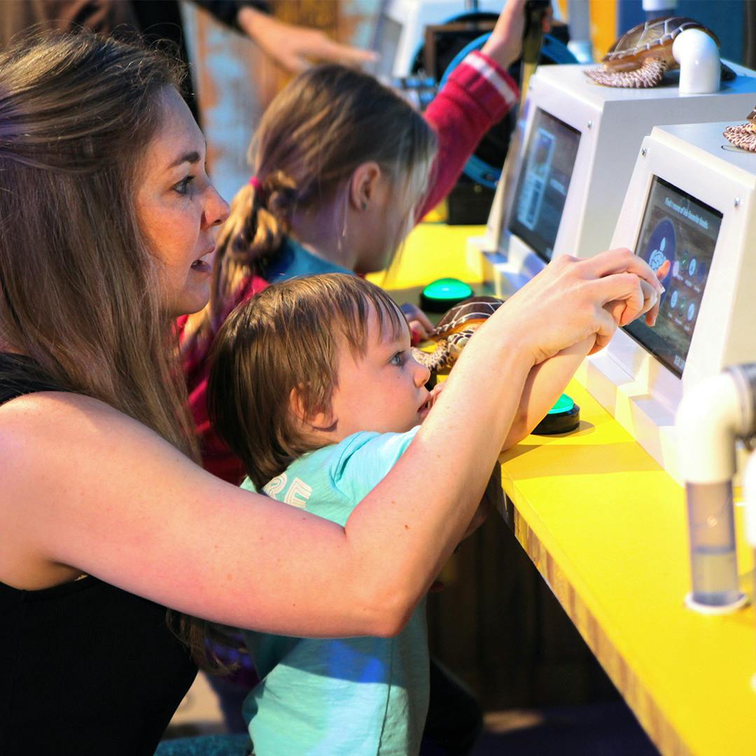 シーライフ グレープバイン水族館ダラスのチケット ー ダラス Tiqets Com