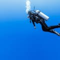 discover diving dubai