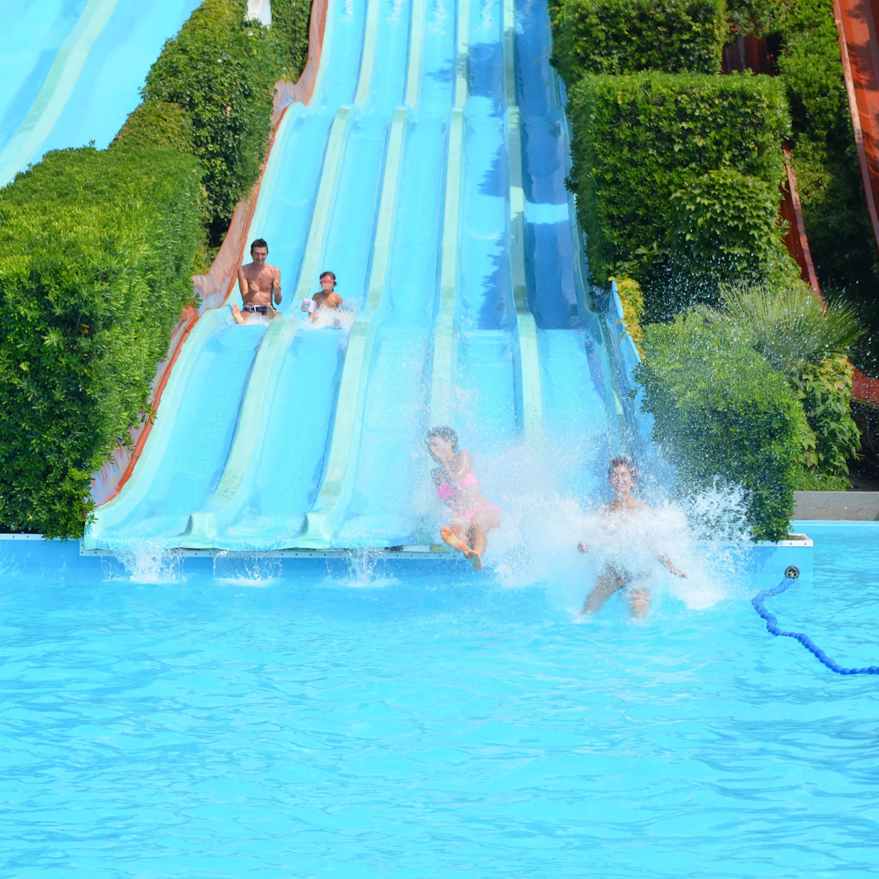 People sliding down water slides into a pool surrounded by greenery.