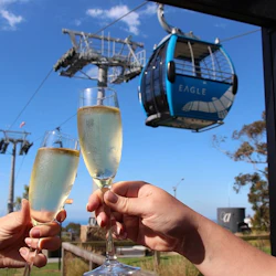 Two people clinking champagne glasses with a blue cable car labeled "Eagle" against a clear sky background.