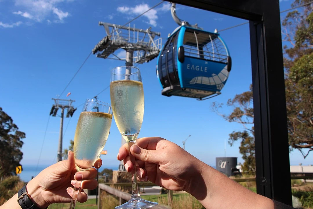 Arthurs Seat Eagle: Roundtrip Gondola Ticket + Drink