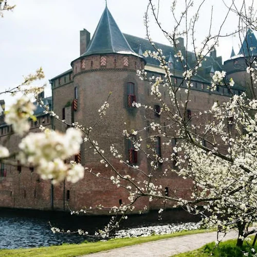 Castelo de Muiderslot: bilhete de entrada + audioguia - Photo 8