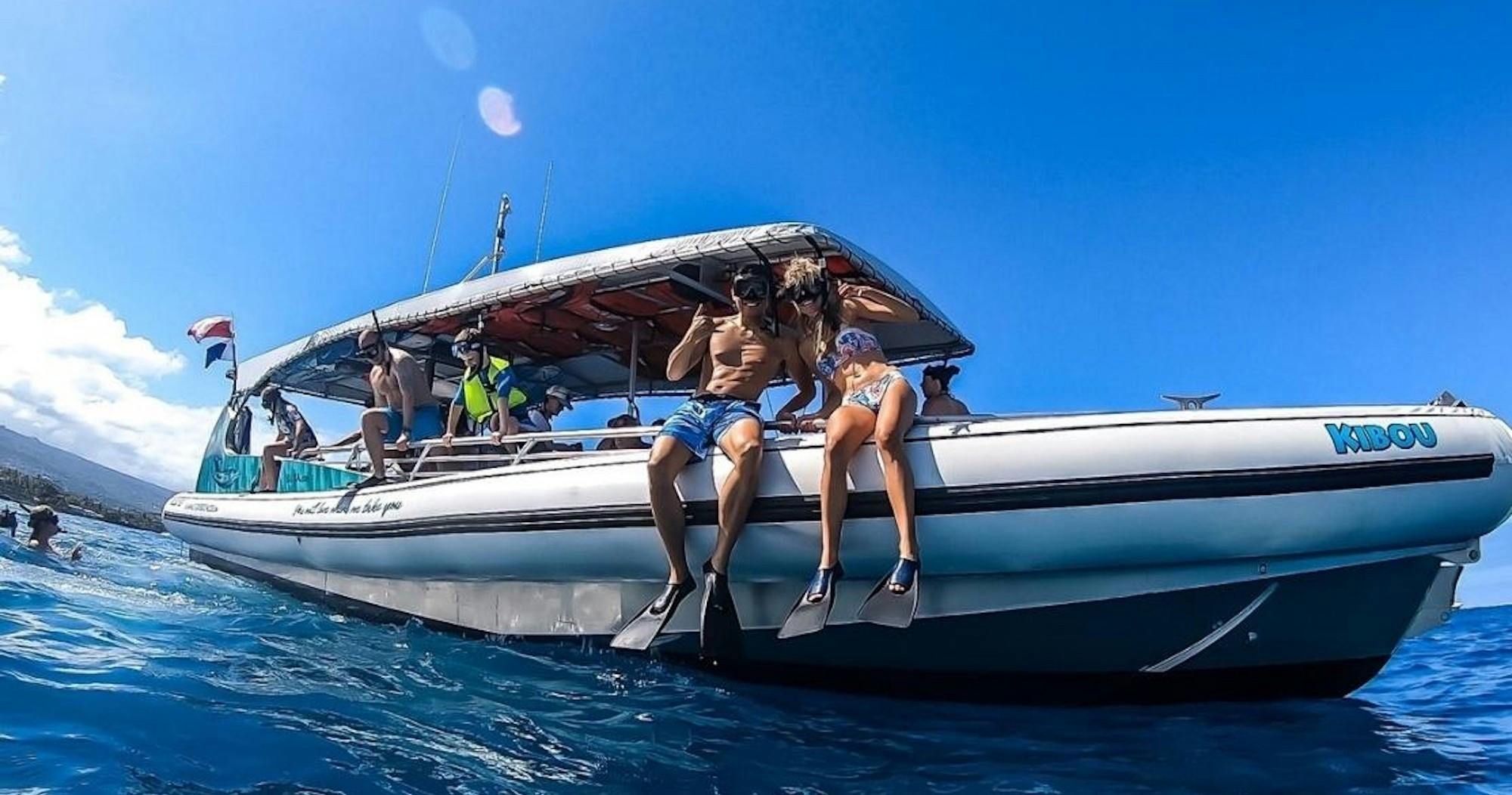 Kealakekua Bay: Ocean Safari Snorkel, Dolphin & Whale Watch - Photo 3