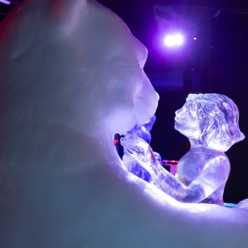 Dutch Ice Sculpture Festival: Entry Ticket - Photo 7