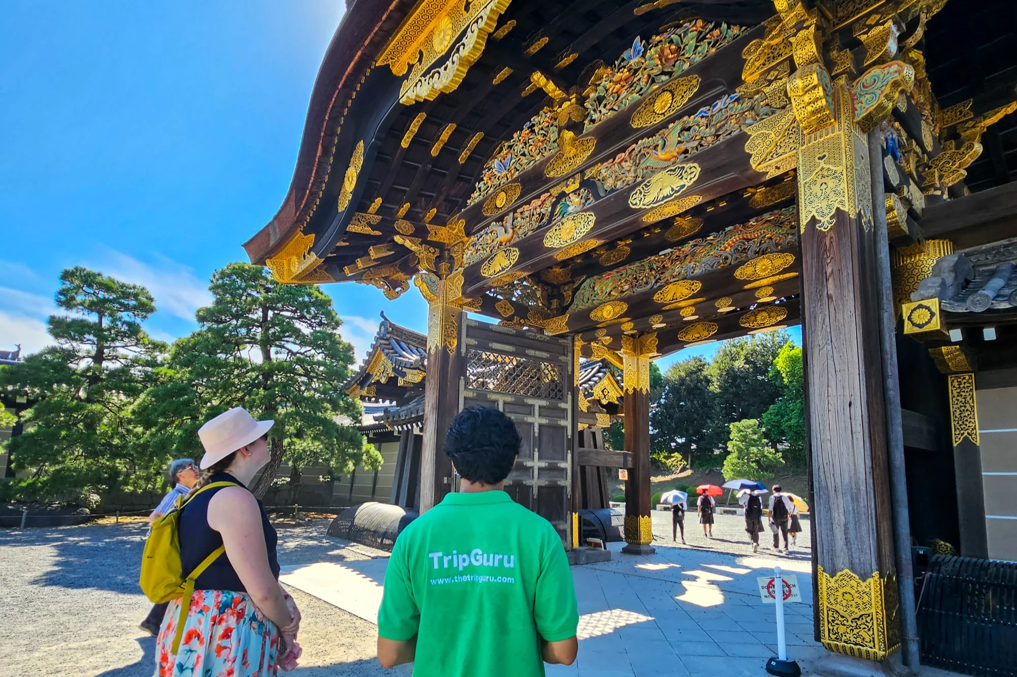 Kyoto Imperial Palace & Nijo Castle: Guided Walking Tour