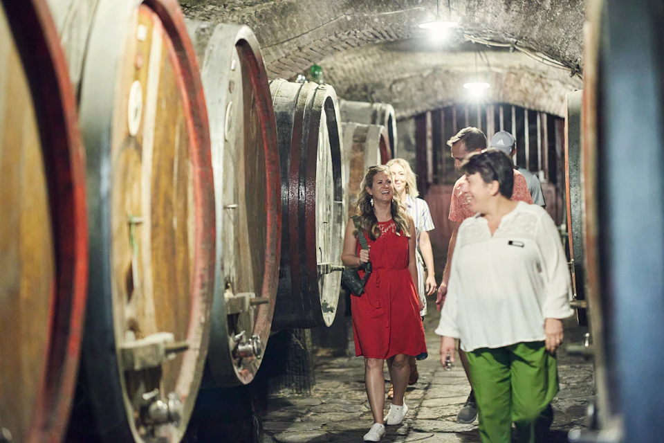 Aging cellars