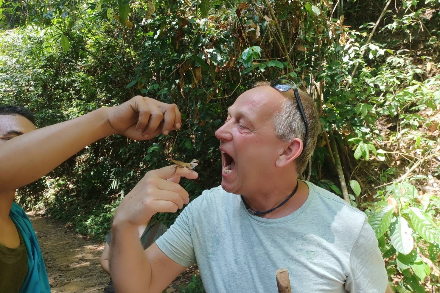 「考索丛林漫步：探索荒野的秘密」