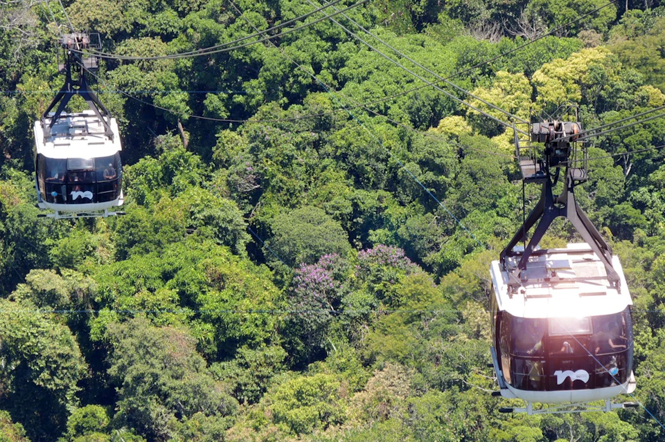 Two cable cars carrying passengers travel above a lush, dense green forest.