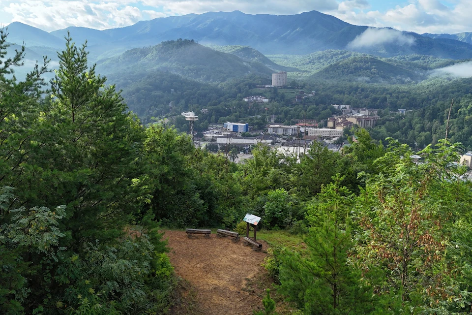 SkyPark trails with a view