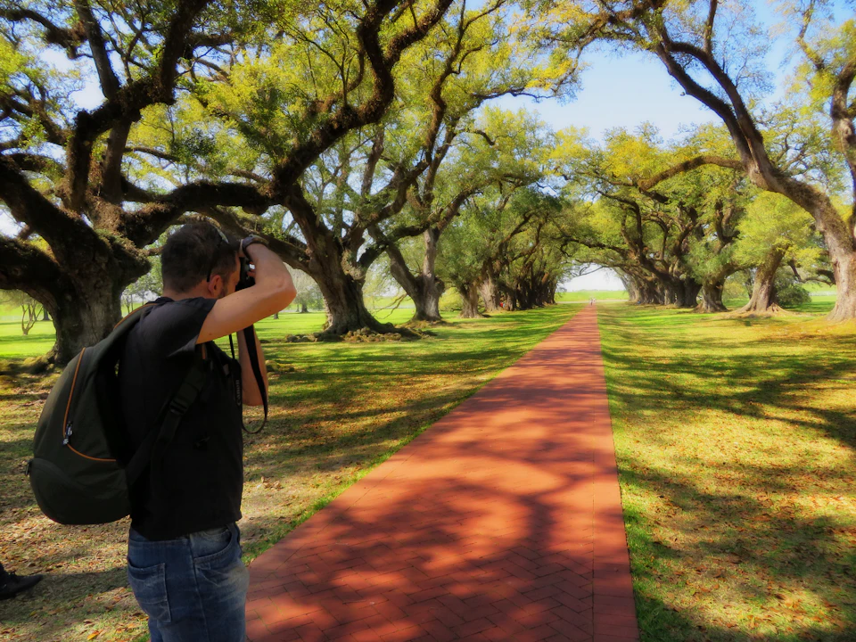 A person photographs a long, tree-lined red brick path extending into the distance under a canopy of large, green-leafed trees.