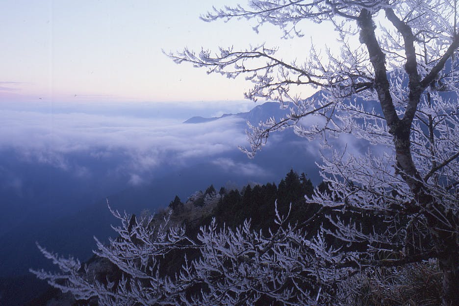 Taipingshan National Forest Recreation Area: Entry Ticket 3