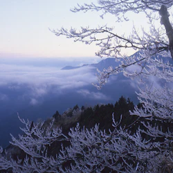 Taipingshan National Forest Recreation Area: Entry Ticket 3