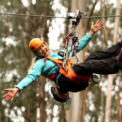 Otway Fly Treetop Adventures: Treetop Walk