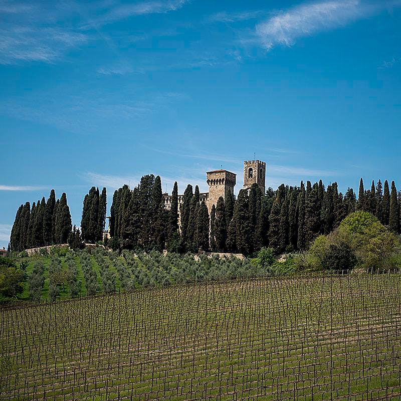 Μια μακρινή θέα ενός μεσαιωνικού κάστρου με έναν πύργο, που περιβάλλεται από ψηλά κυπαρίσσια και έναν αμπελώνα κάτω από έναν καταγάλανο ουρανό.
