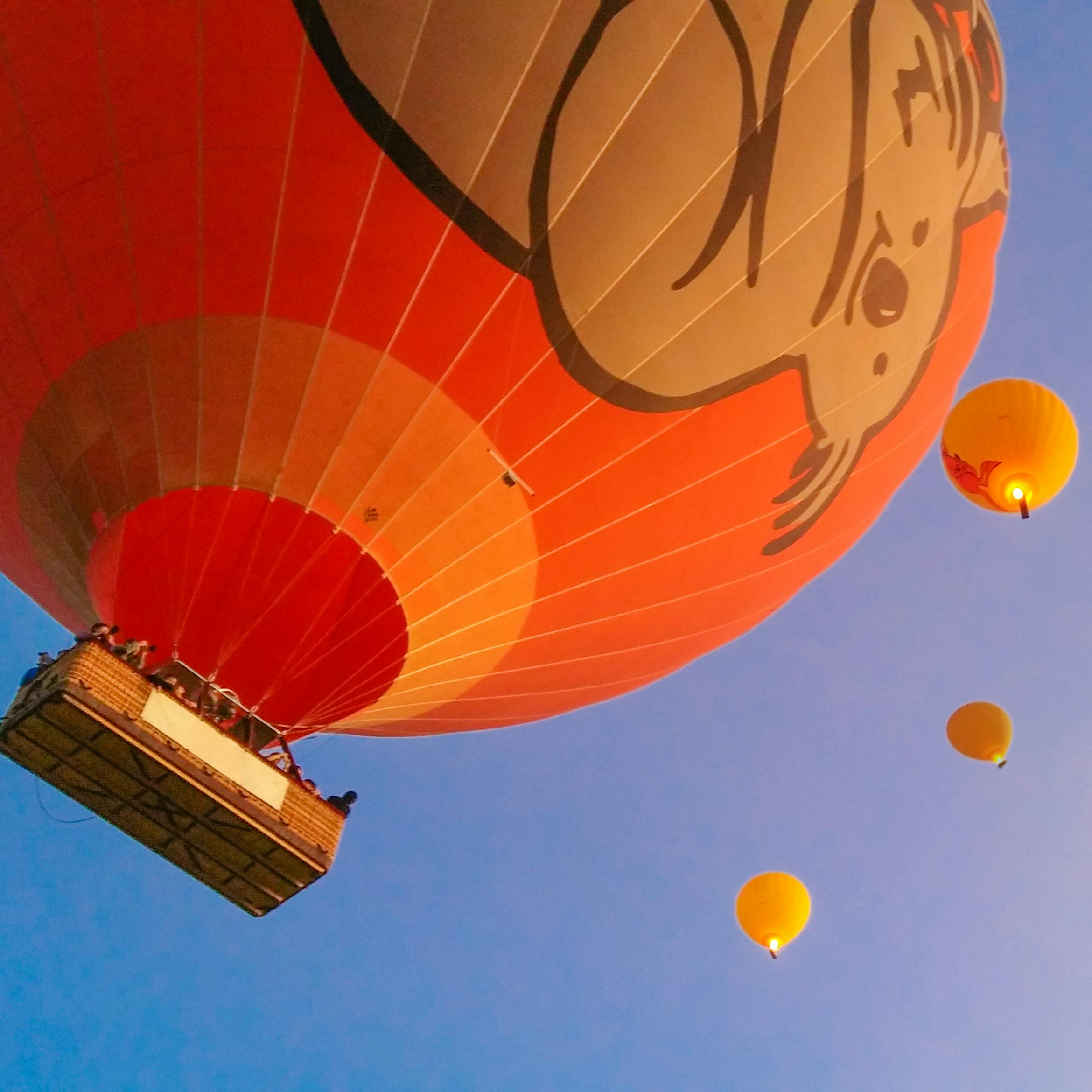 Three hot air balloons, including one large red balloon with a cartoon face, float in a clear blue sky.