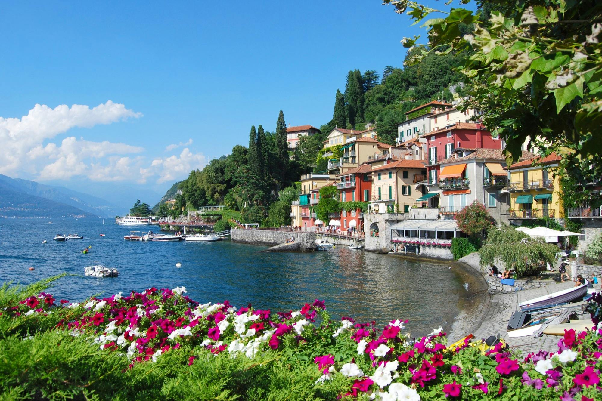 Colorful village buildings line a lakeshore with docks and boats. Flowers in the foreground and green hills in the background.