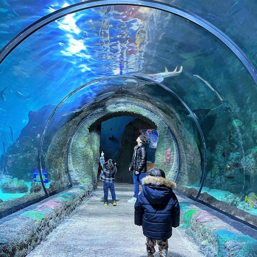 Downtown Aquarium Denver: Entrada