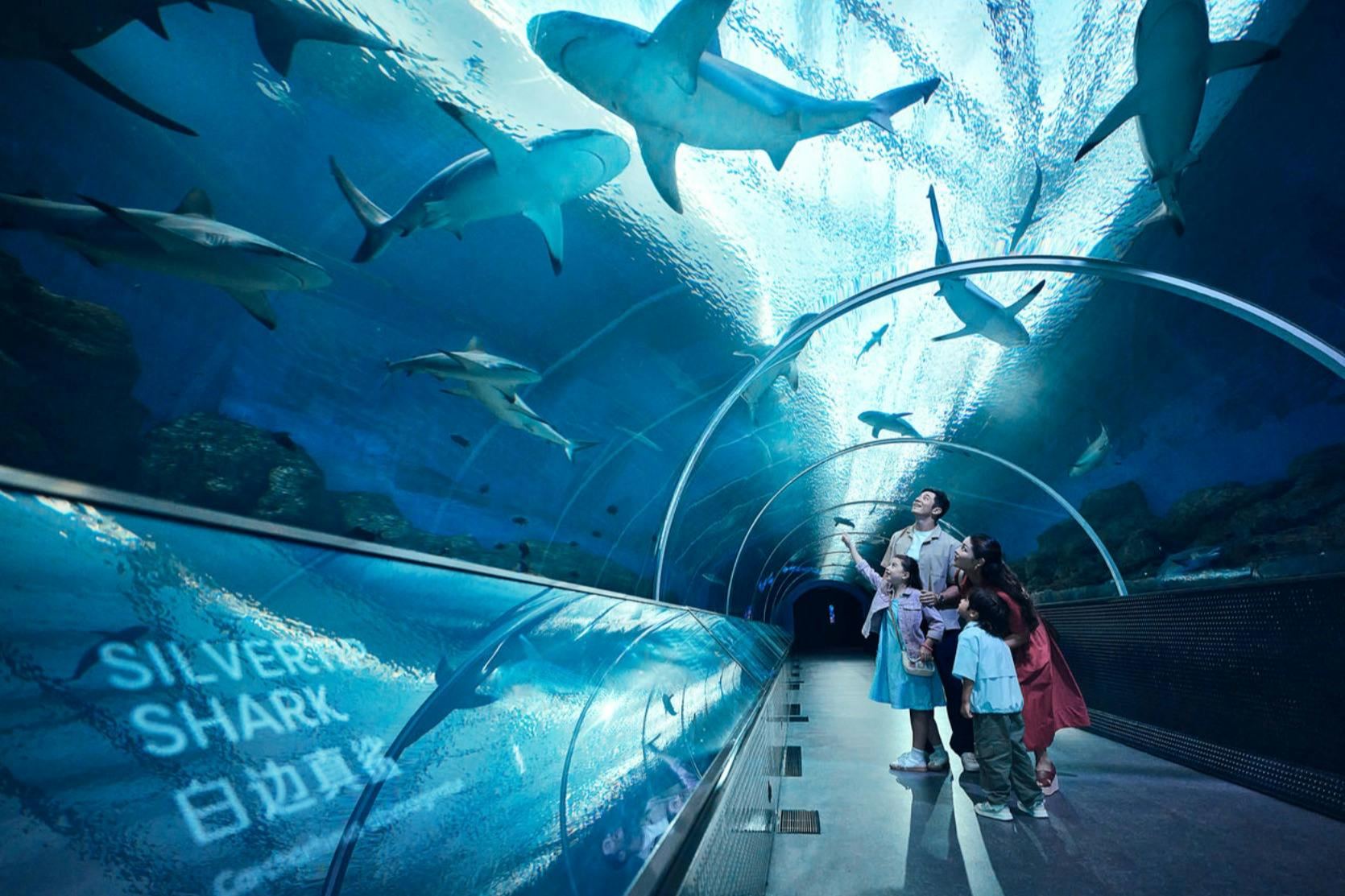 Singapore Oceanarium: Entry Ticket in Singapore – Tiqets