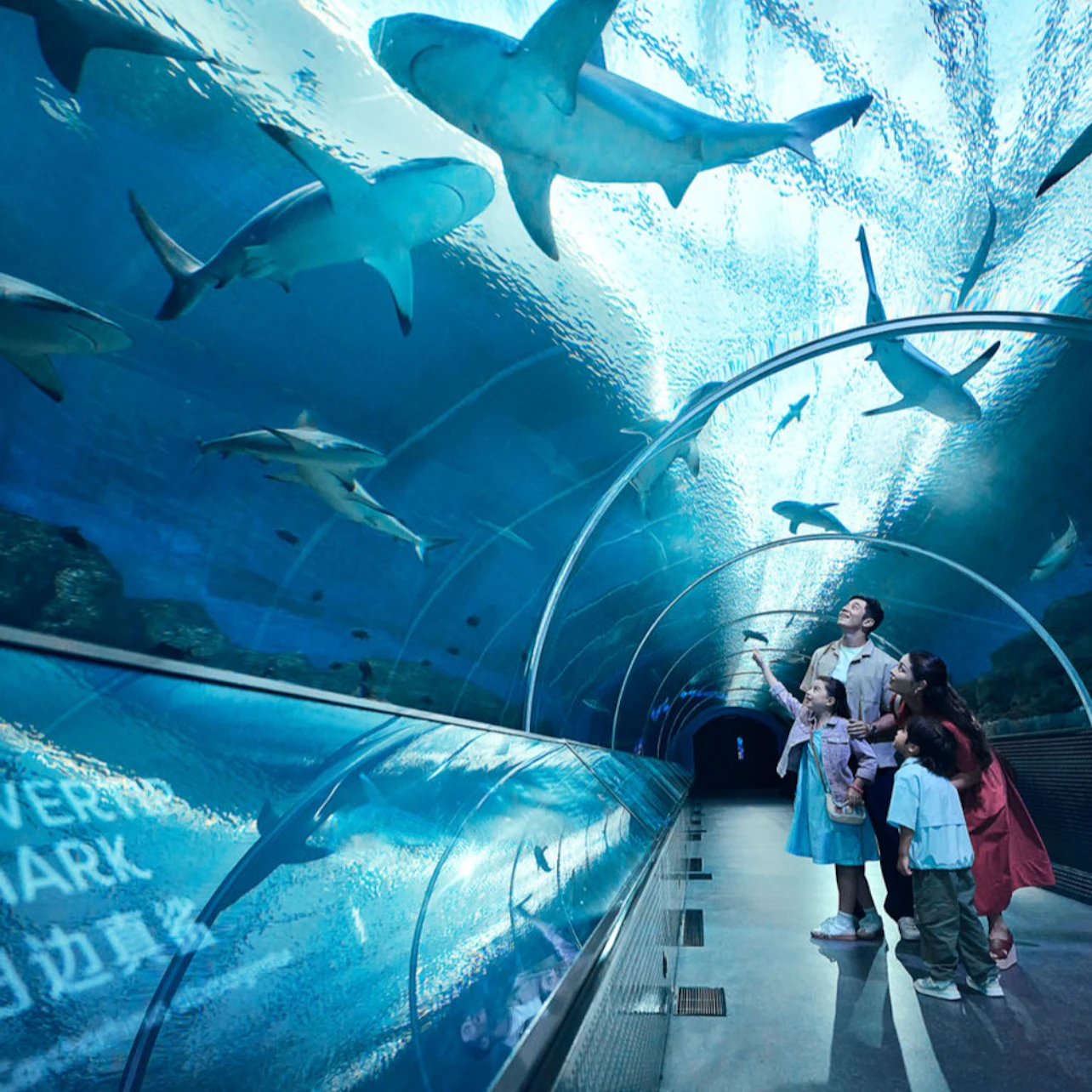 Singapore Oceanarium: Entry Ticket in Singapore β Tiqets