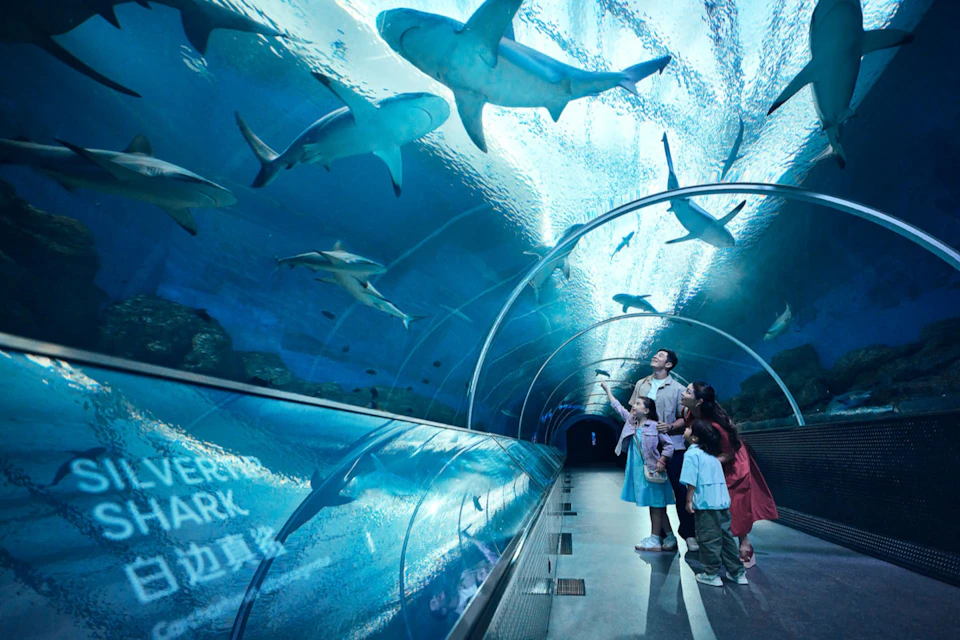 A family stands in an underwater tunnel at an aquarium, observing sharks and fish swimming above them in the blue-lit space.