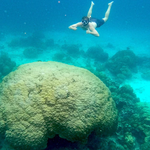 Ilhas Phi Phi: Passeio particular em barco de cauda longa com Maya Bay + mergulho com snorkel - Photo 10