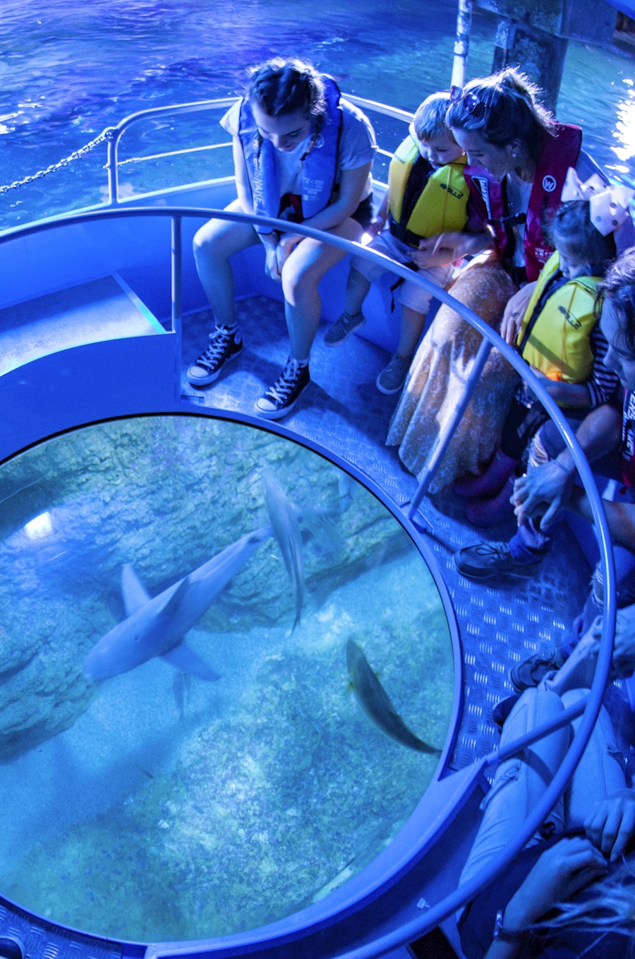 AQWA The Aquarium of Western Australia Tickets - Hellotickets