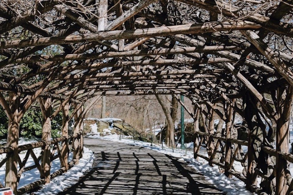 Art Inside and Out: Skip the Line at Central Park and The Metropolitan Museum of Art