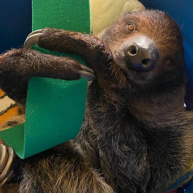 Downtown Aquarium Denver Tickets Tiqets