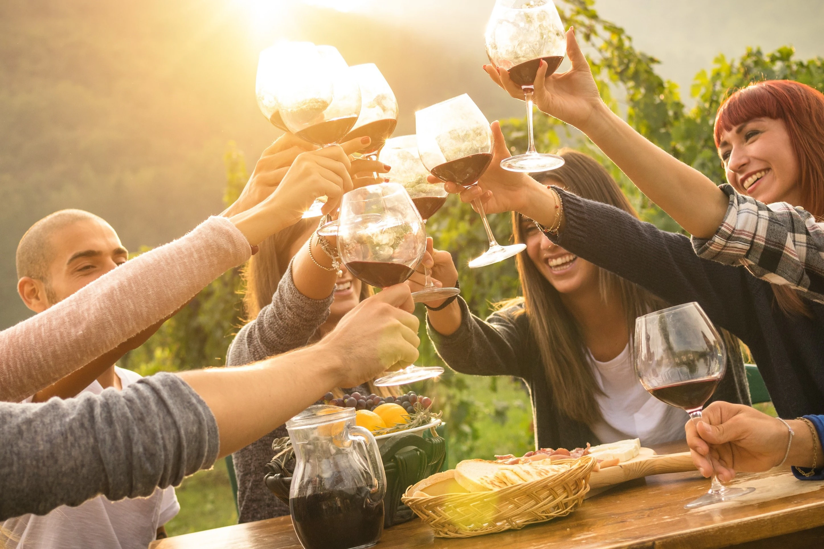 Yarra Valley e cordilheira Dandenong: Excursão de um dia saindo de Melbourne + almoço