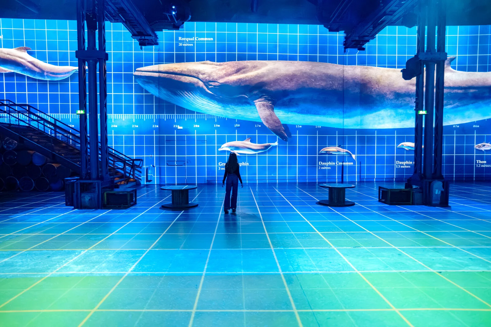 Atelier des Lumières: Exposição «Ocean Planet»