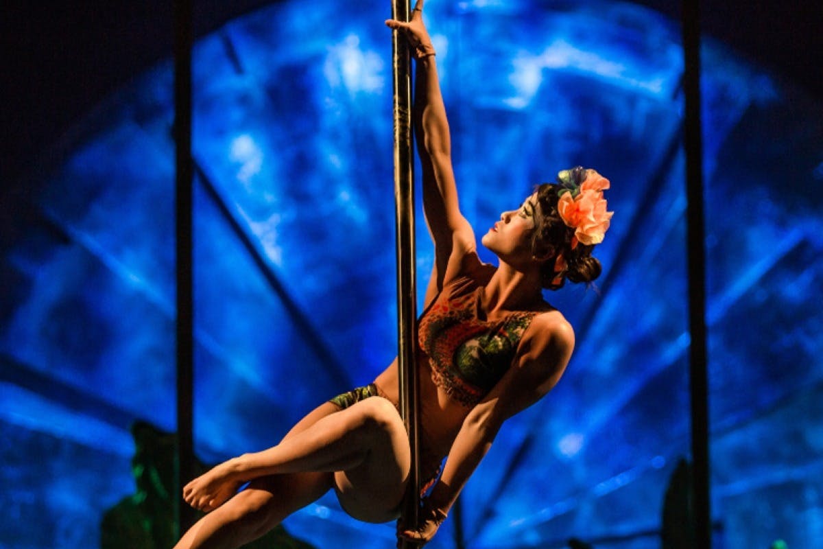 Cirque du Soleil LUZIA Miami: bilhete de entrada - Photo 3
