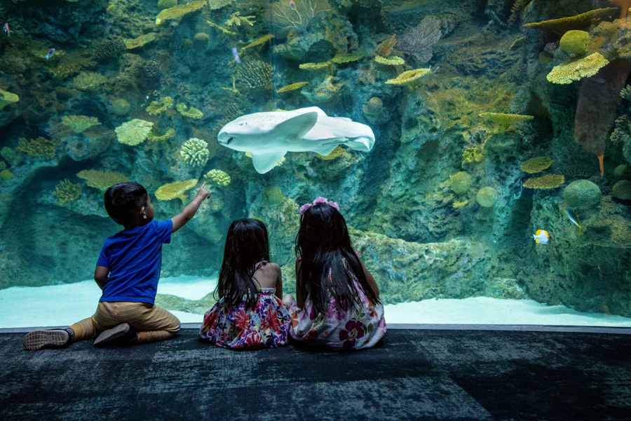 西雅圖水族館門票