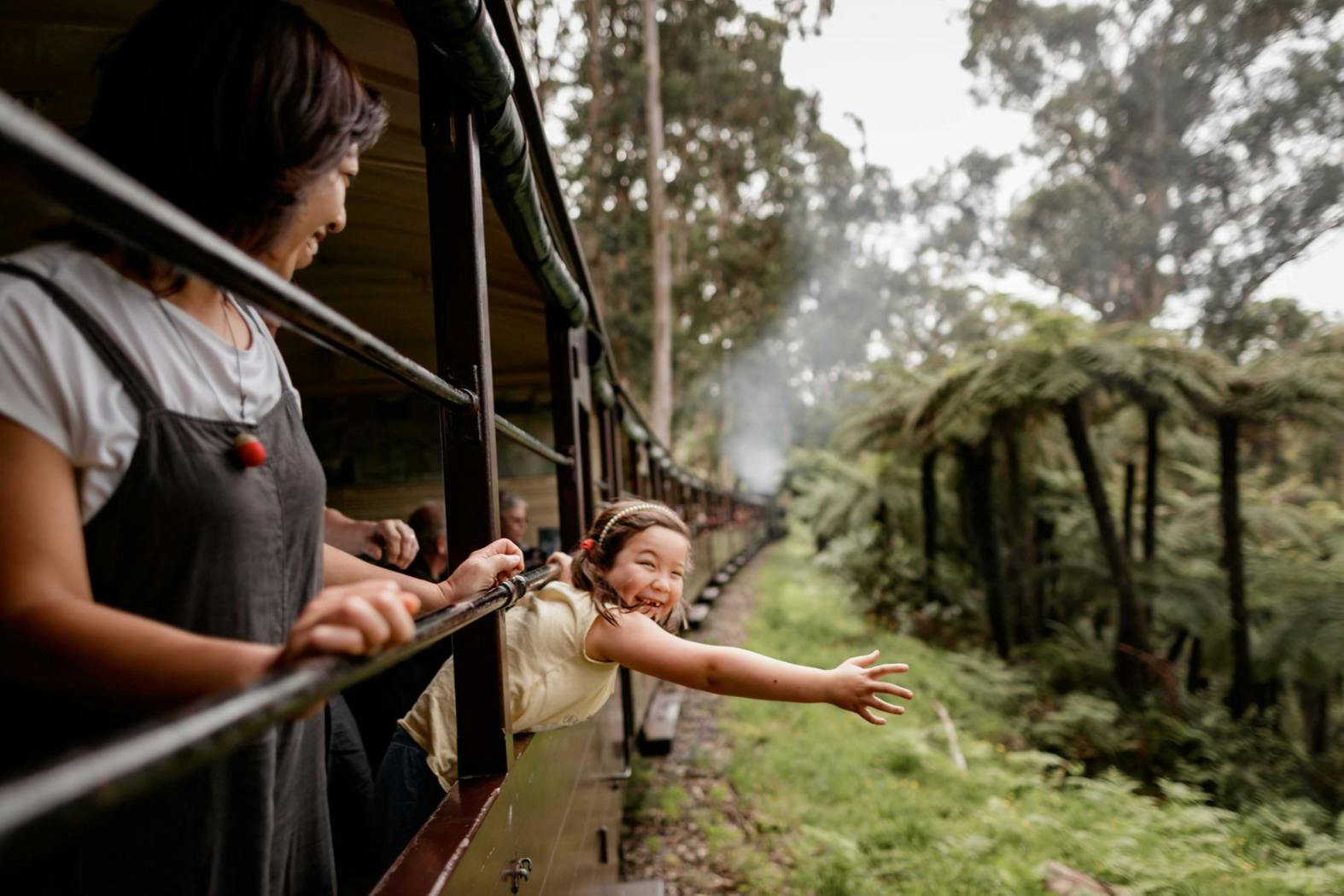 Warburton & Cement Creek Redwood Forest: Tour from Melbourne + Puffing Billy 2