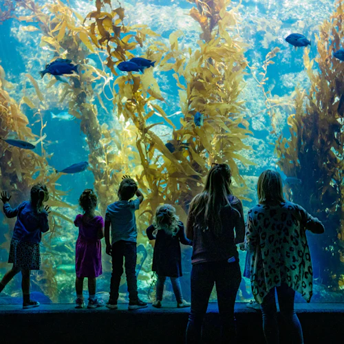 Go City San Diego Explorer Pass: Choose 2-7 Attractions including San Diego Zoo