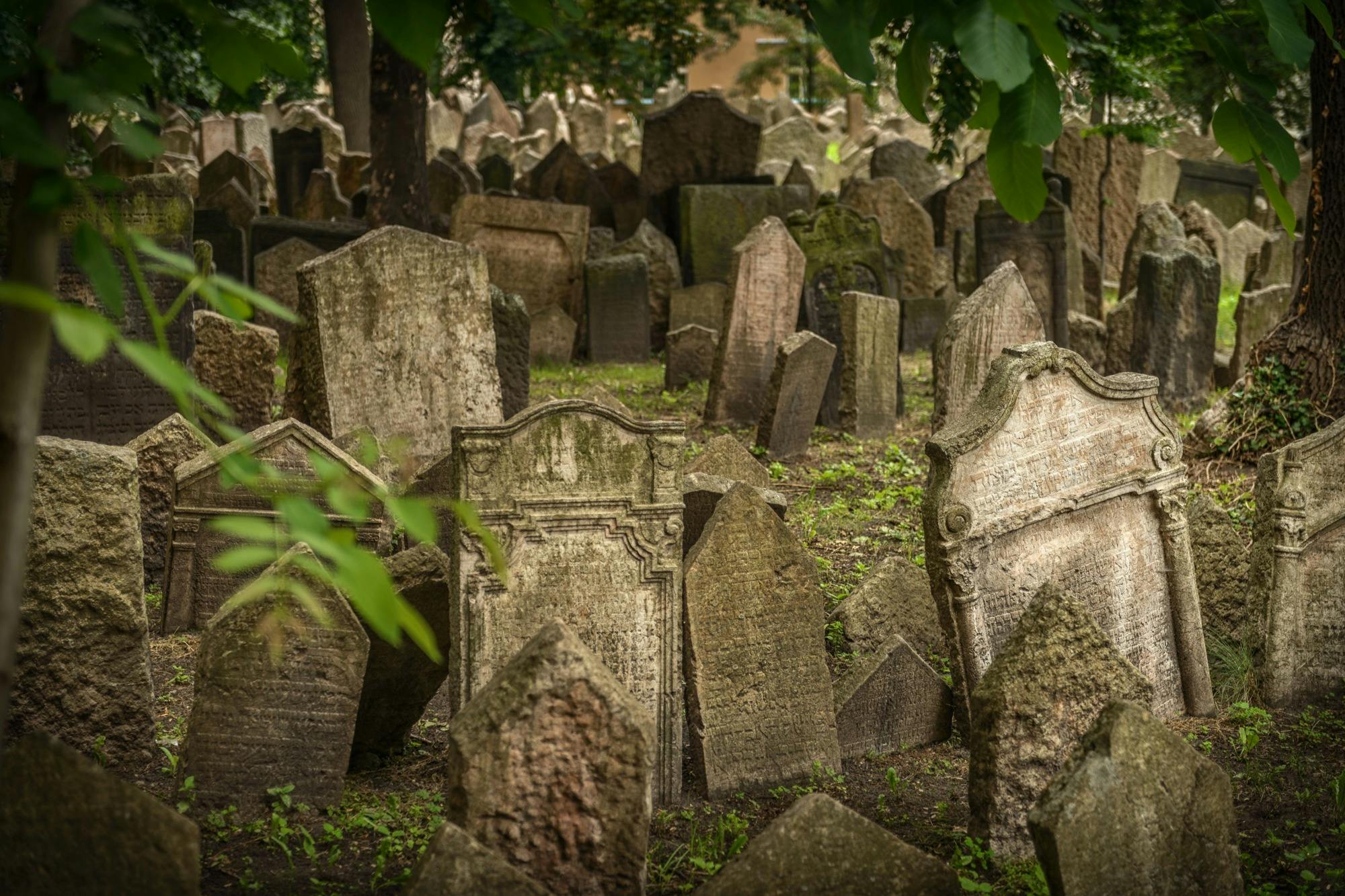 녹지와 나무로 둘러싸인 묘지에 밀접하게 포장된 오래된 풍화 비석 몇 개.
