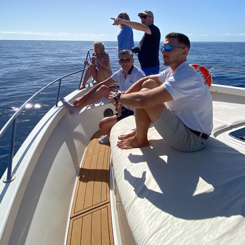 Mejor excursión en barco en Tenerife