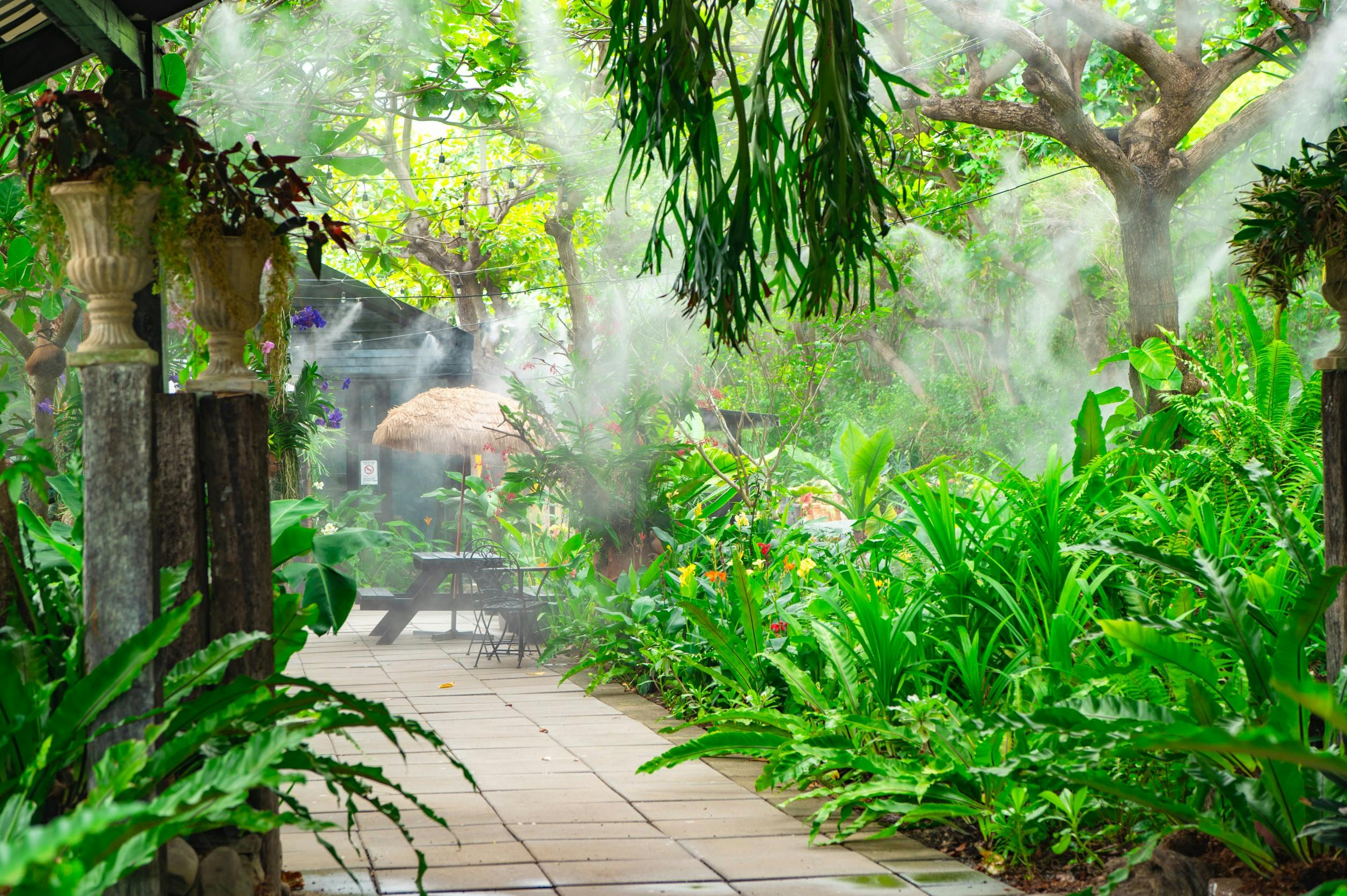 A lush garden with a paved walkway, tropical plants, mist, and a straw umbrella covering outdoor seating.
