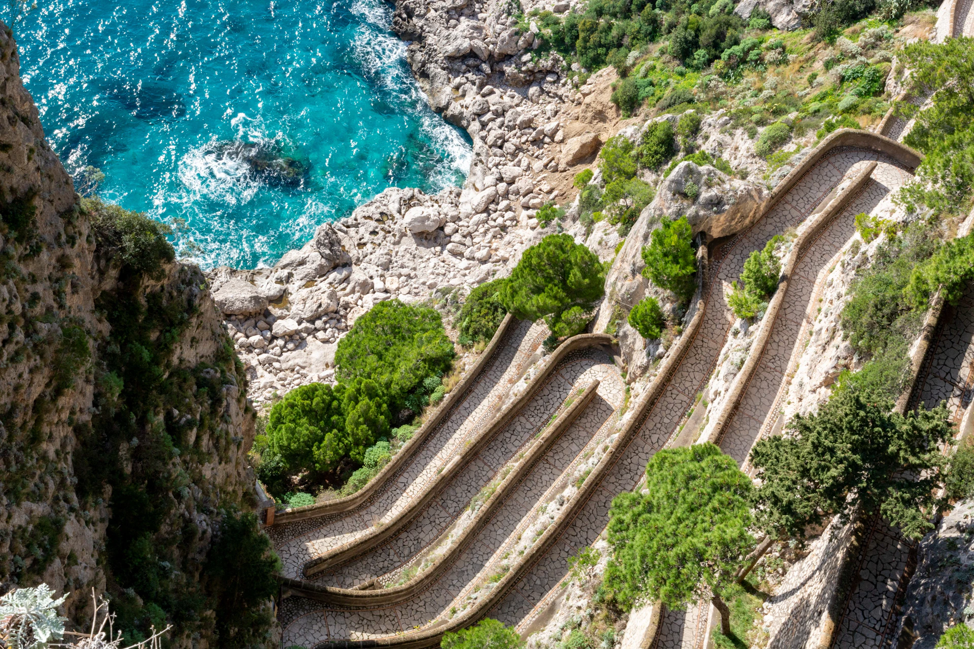 Winding stone pathways with lush greenery next to a rocky coastline and turquoise sea.