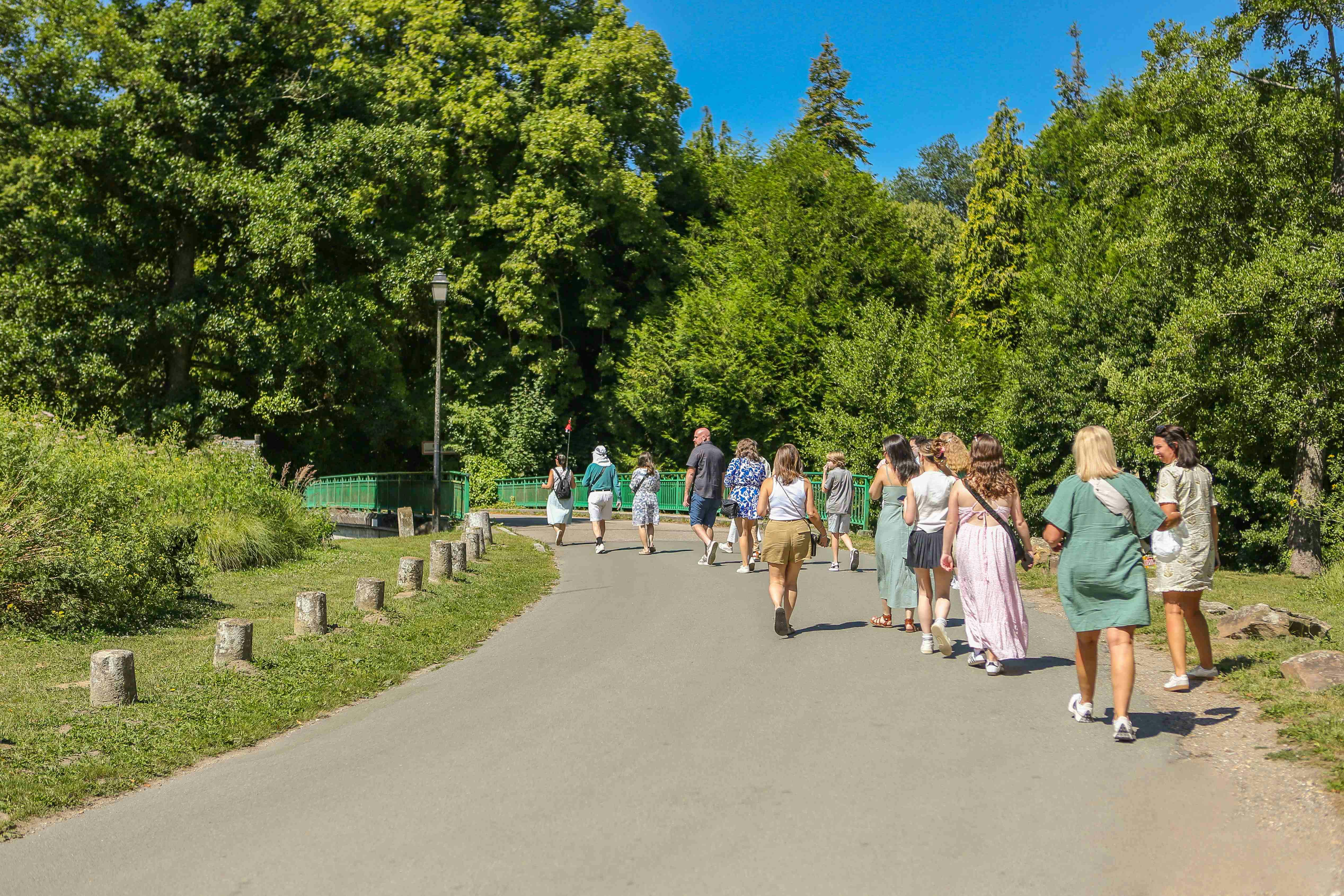天気のいい日には、緑と木々に囲まれた公園の舗装された小道を歩く人々のグループ。