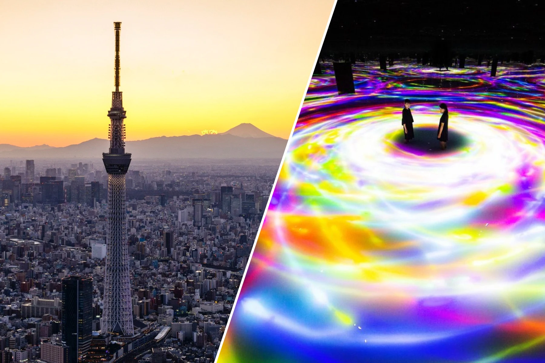 Tokyo Skytree & teamLab Planets: Entry Ticket