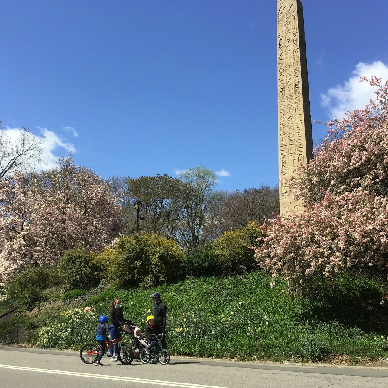 Central Park: Recorrido a pie - Alojamientos en Nueva York