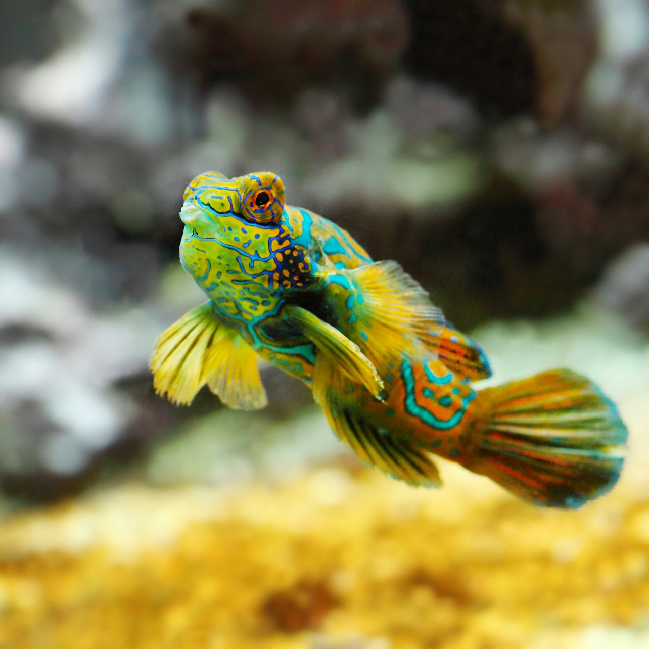 Oceanographic Museum of Monaco