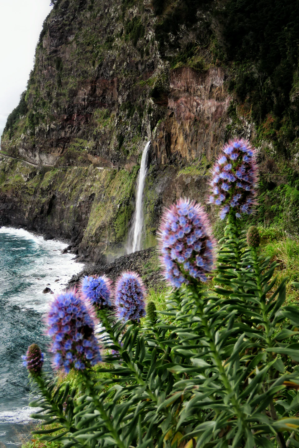 Purple flowers in the foreground with a waterfall cascading down cliffside, meeting the ocean below. Rocky terrain and greenery.