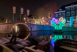 Evening | Amsterdam Light Festival Cruises things to do in NDSM Werf