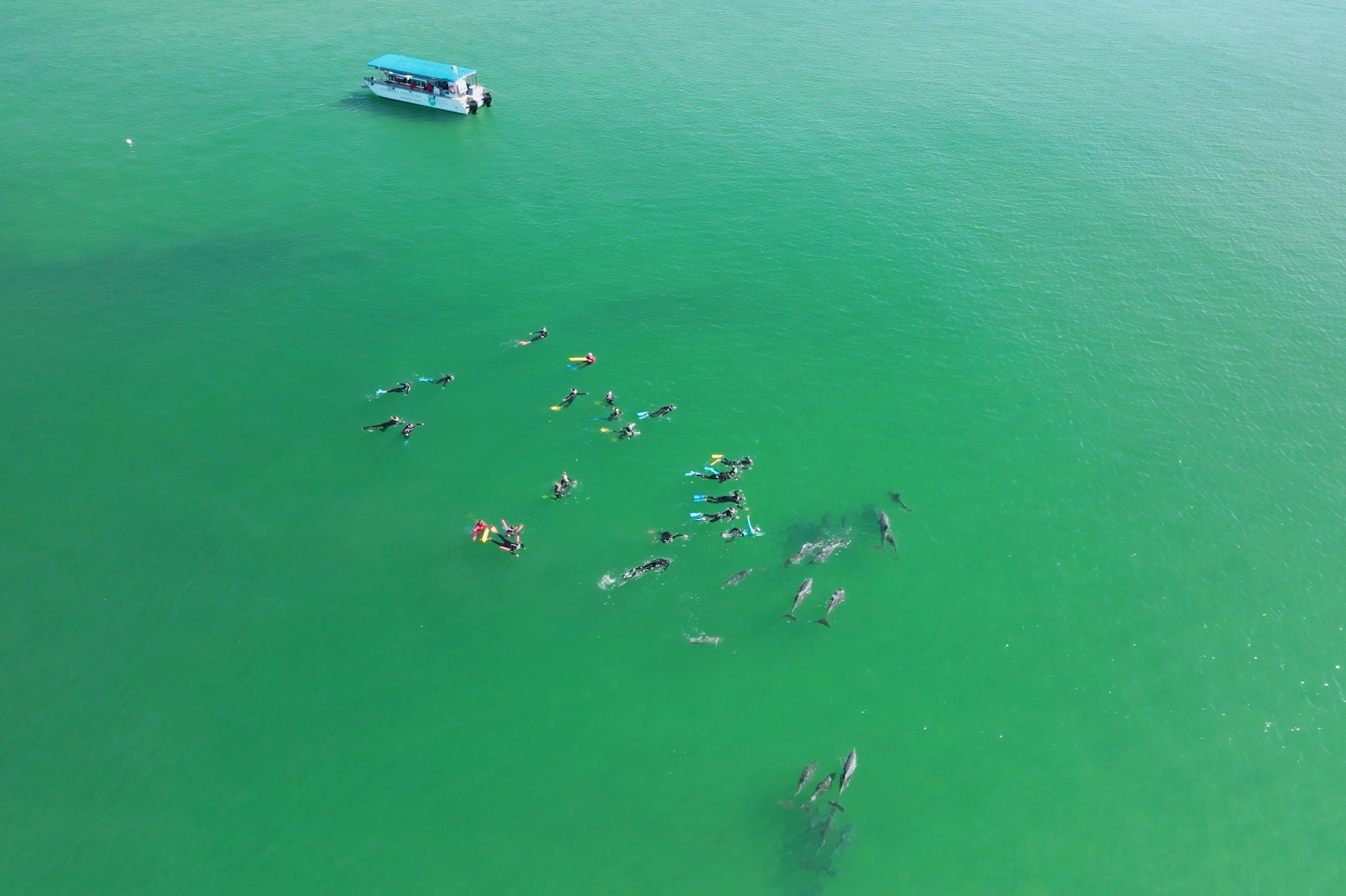 Small Group Adventure - Dolphins guaranteed.