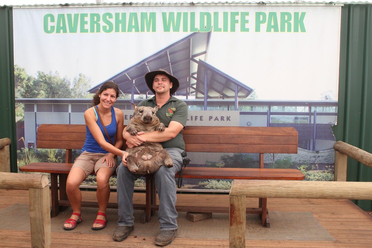 Twee mensen zitten op een bankje voor een bord van het Caversham Wildlife Park, met een wombat tussen hen in.