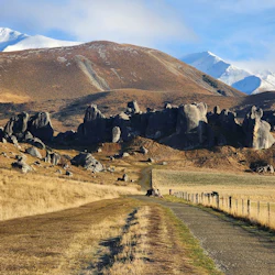 Towards Castle Hill, these weathered limestone rocks sit proudly on the tussocky hills and were once in the ocean!