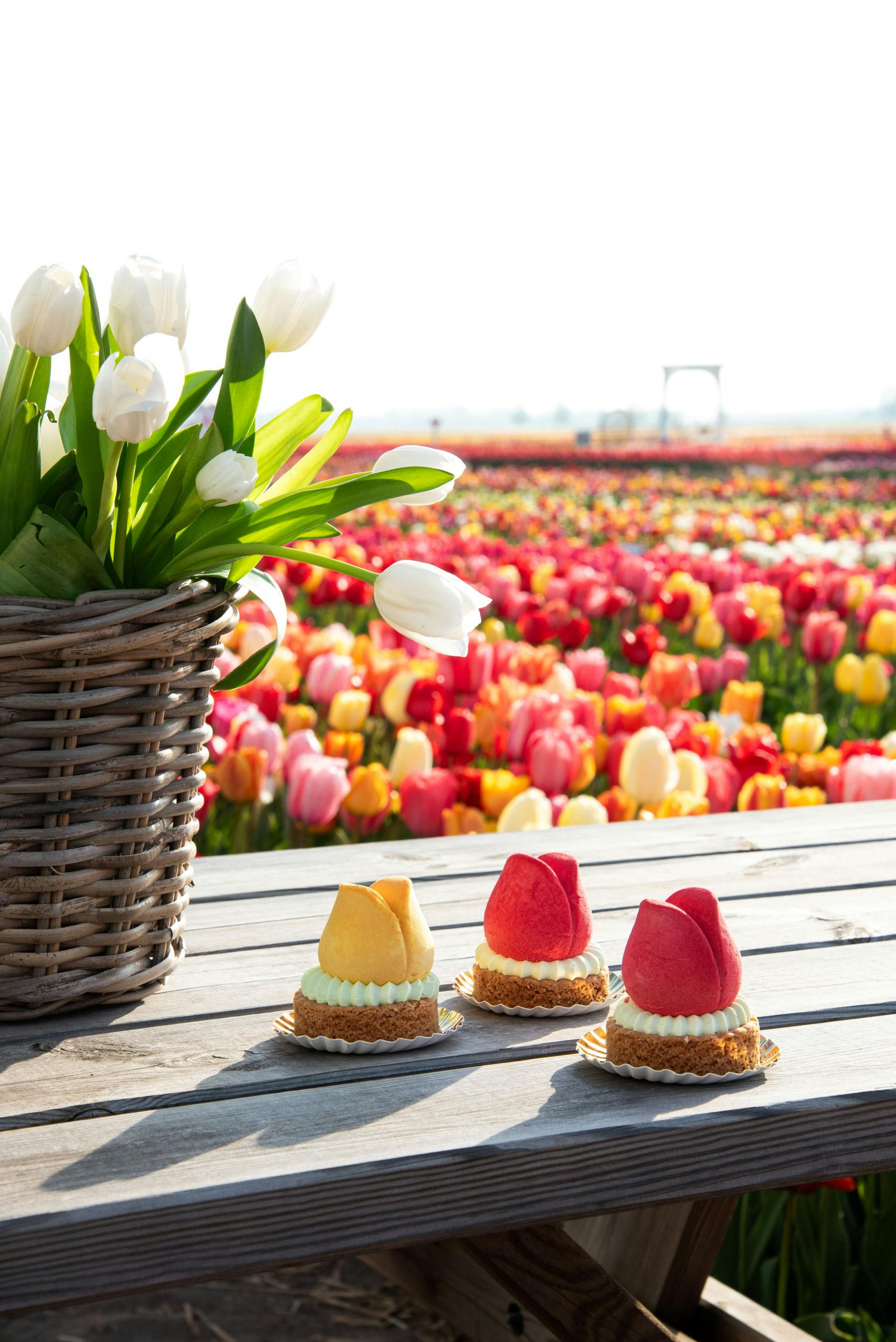 A basket of white tulips and three tulip-shaped pastries on a wooden table with a colorful tulip field in the background.