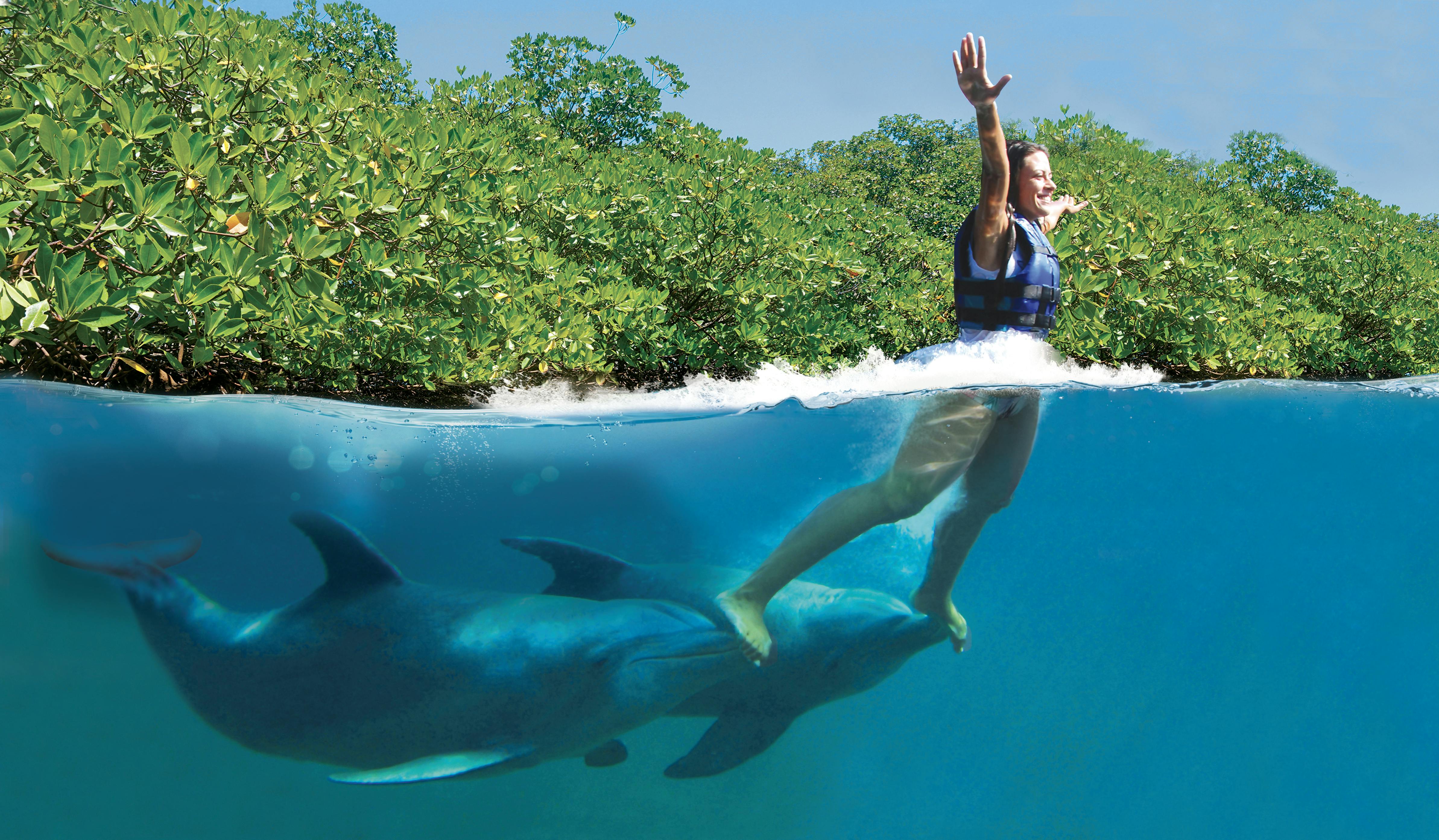 Delphinbeobachtung in Playa Del Carmen