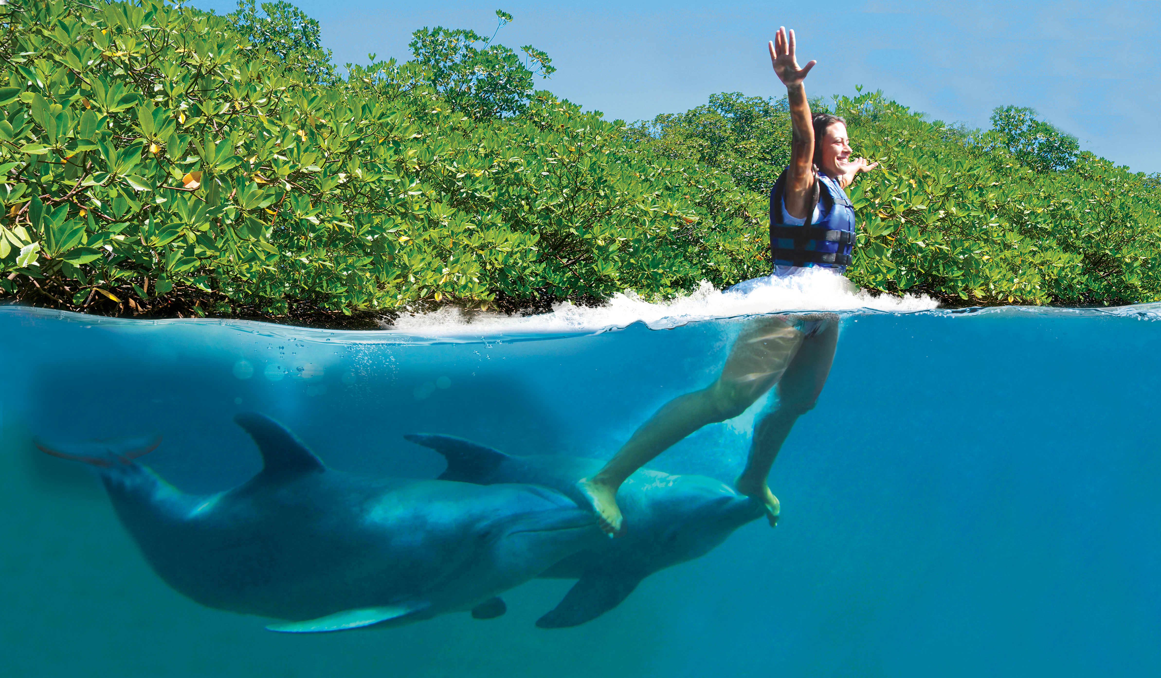 Delphinus Xcaret: Entry Ticket + Transfers + Swim with Dolphins